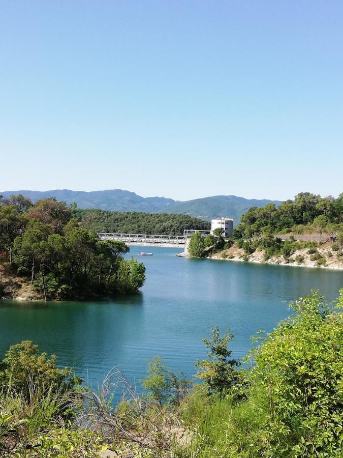 باربيرينو دي موجيلو Il Lago Del Mugello B&B المظهر الخارجي الصورة