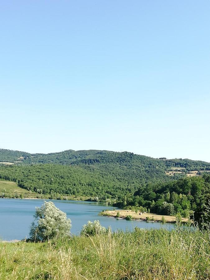 باربيرينو دي موجيلو Il Lago Del Mugello B&B المظهر الخارجي الصورة